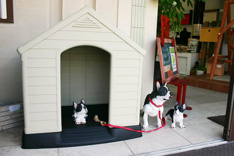 ケター 樹脂製犬小屋 兵庫店にて展示!