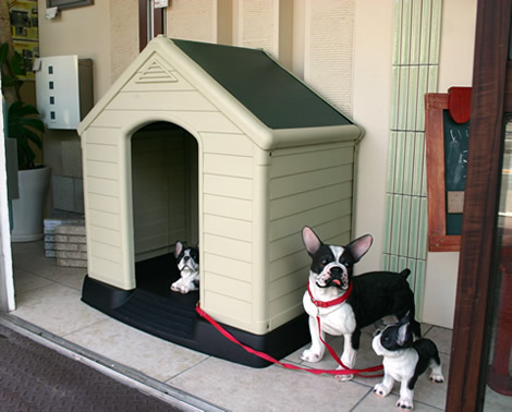 ケター犬小屋 兵庫店にて展示中!