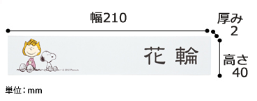 ���̡��ԡ����������ɽ��������