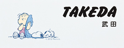 ���̡��ԡ����������ɽ��SPAWA-2