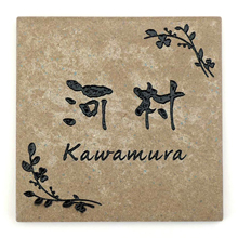 ��¥�����ɽ���ߥ� �ϥˡ��ӡ� �ǥ�����F21