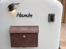 �ǥ����������ǥ�A-03S������ �桼���Хå��Υ����ǥ��ͥ��Ȼܹ���̿�