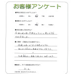 ���ɸ���ǻԡ�M��