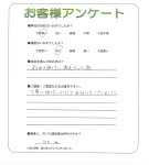 ���ɸ����ɻԡ�T��